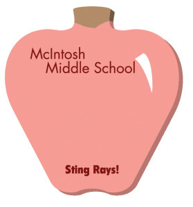 Promotional Sticky Notes: 3 inch x 3 inch Apple Shaped Sticky Notes